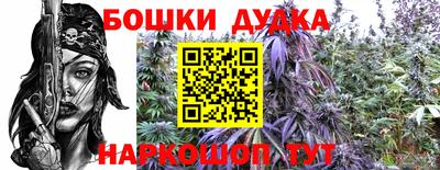 СК Кандалакша