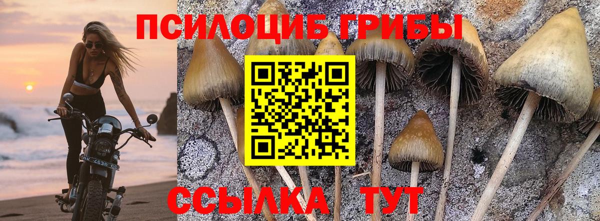 Псилоцибиновые грибы прущие грибы Курчатов